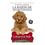 Coleccion