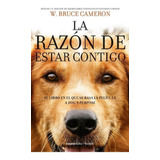 (colecci