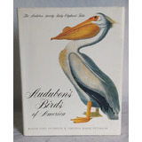 Rdf05938 - Livro Audubon's Birds Of