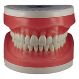 Refil Manequim De Dentistica Ac103 - Pronew