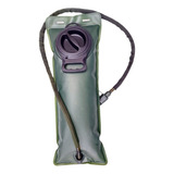 Camelback