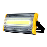 110v/220v