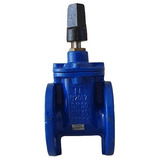 Registro Gaveta Valvula Ferro Fundido Ductil Dn75 Flange