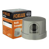 Foxlux