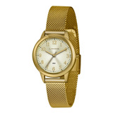 Dourado