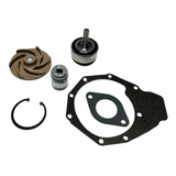 Reparo Bomba D'água Powertech Serie 350 4cc Re515314