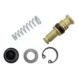 Reparo Burrinho Lander 250 Tenere 2011/ Retentor Toork