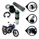 Reparo Cilindro Mestre Burrinho Freio Cbx 250 Twister Cb 300