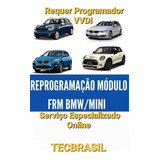 Reparo Modulo Frm Bmw E Minicooper