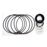 Reparo Motor Hidraulico Parker Tg Ou Tf
