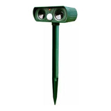 Pombo