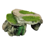 Terrário