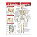 Resumao Medicina - Articulacoes E Ligamentos