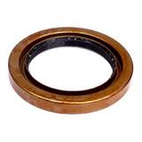 Retentor Cubo Roda Traseiro Caminhoes Vw Ford (02485by) Sabo