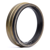 Retentor Do Cubo De Roda Traseiro Ford/iveco/mercedes Benz