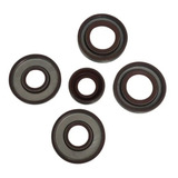 Retentores Motor De Popa Evinrude 9.9 E 15 Hp Rabeta