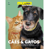 Gatos