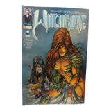 Revistas Colecao Completa Darkness E Witchblade