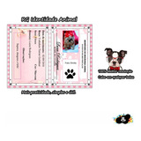 Rg Identidade Cães & Gatos Pet Animal - Personalizada