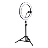 Ring Light 26cm Com Tripé 160cm - Suporte Celular - Controle