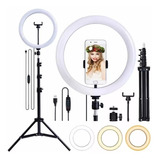 Ring Light Lluminador Led Profissional 26cm Tripé 210cm