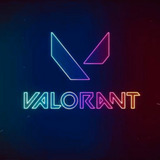 Riot Games Valorant / Private 2023