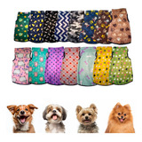 Roupa De Cachorro | Roupinha Pet | Roupa Gato Soft - Eg