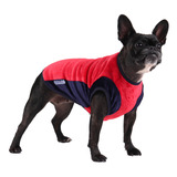 Roupa My Dream Color Pet Outono Inverno Cachorro - Médio