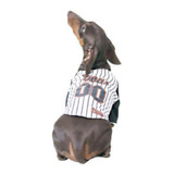 Roupa Para Cachorro Camiseta Baiseball Sula Pet Tamanho P