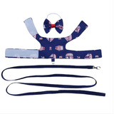 Roupa Peitoral + Guia Mini Coelho, Coelho Anão + Lacinho 