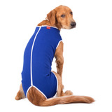 Labrador