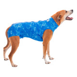 Roupa Protetora Pós Cirúrgica Castração Cães Petmed N8 Full