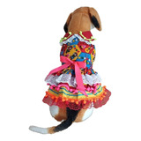 Roupa Roupinha Pet Vestido Festa Junina São João Tam 4