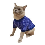Gato