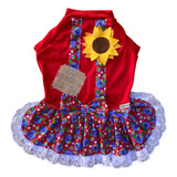 Vermelha-2