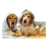 Roupinha De Cachorro De Frio Pijama Brilha No Escuro Inverno