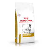 10,1kg