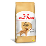 Royal Canin Golden Retriever Cães Adultos