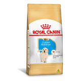 Royal Canin Golden Retriever Cães Filhotes