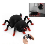 Rt Rc Wall Climbing Spider Simulation Joke Trick Scary