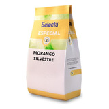 Saborizante Sorvete Selecta Especial Morango Silvestre 1kg