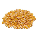 1kg