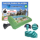 Abraçadeiras