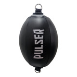 Pulser