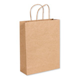 Sacola Papel Kraft Alca Pp 15x20x7cm 50und Sacola Kraft Mini