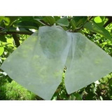 Sacos Tnt Para Proteção De Frutas No Pé 10x15 Cm 100 Unidade