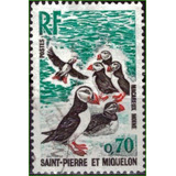 Saint Pierre Et Miquelon - Papagaio Do Mar - 1973 - C1