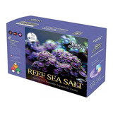 Sal Marinho Blue Treasure Reef Box