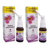 Salomon Própolis Nasal 20ml Álcool Alta Qualidade Kit 2 Sabor Extrato De Propolis