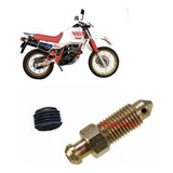Xt600